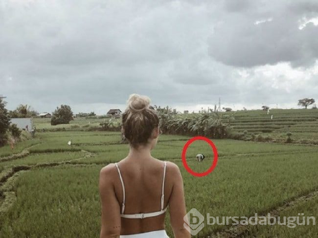 Tarladaki pozu 12 bin takipçisi arasında büyük bir tartışma başlattı