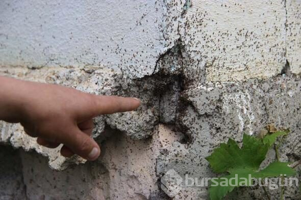 Mahallede korku dolu günler