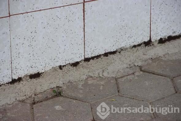 Mahallede korku dolu günler