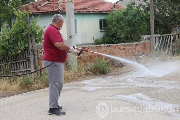 Mahallede korku dolu günler