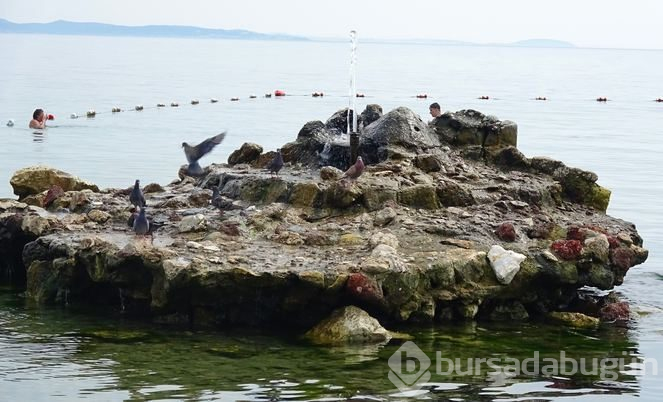 Tatil için gelen turistlerin ilgi odağı
