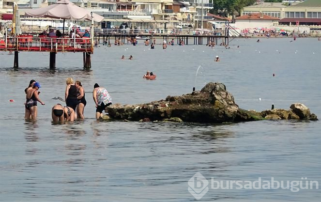 Tatil için gelen turistlerin ilgi odağı