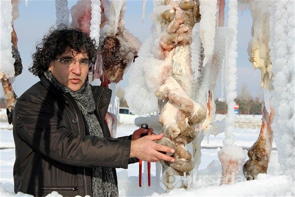 Terör ve şiddeti dondurdu