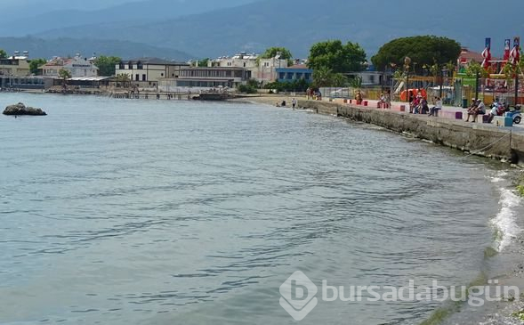  Sıradan bir kayalık gibi duruyor ama aslında...