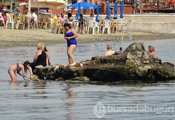  Sıradan bir kayalık gibi duruyor ama aslında...