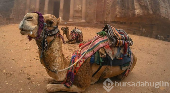 Yüzlerce yıl sonra bulunan görkemli kent Petra
