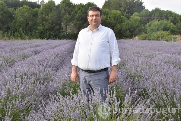Mor tarlalarda hasat şenliği