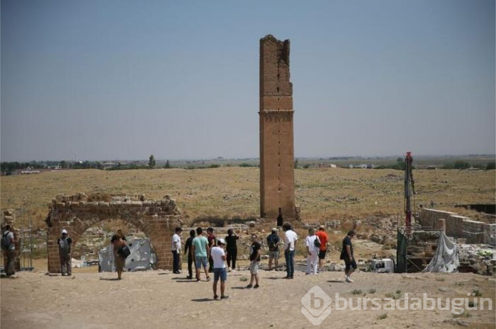 Dünyanın en iyi şefleri Şanlıurfa yemeklerine hayran kaldı