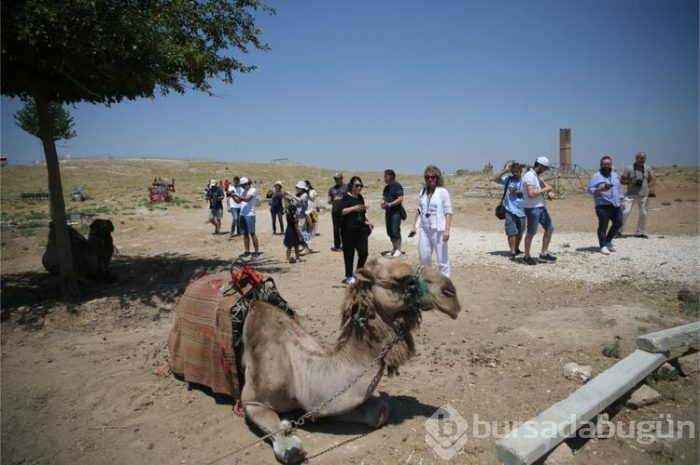 Dünyanın en iyi şefleri Şanlıurfa yemeklerine hayran kaldı