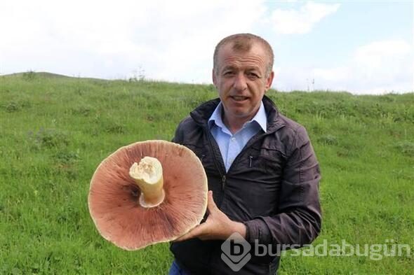  25 yıldır hiç bu kadar büyüğünü bulmadığını söyledi