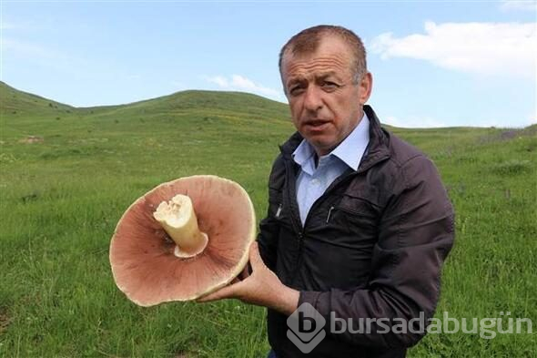  25 yıldır hiç bu kadar büyüğünü bulmadığını söyledi