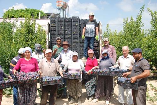 Paraya para demiyor!