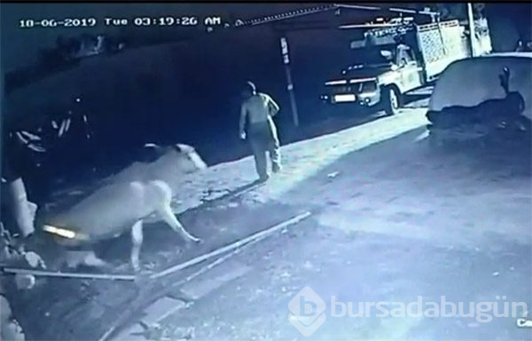 Evden yarı çıplak fırladı!