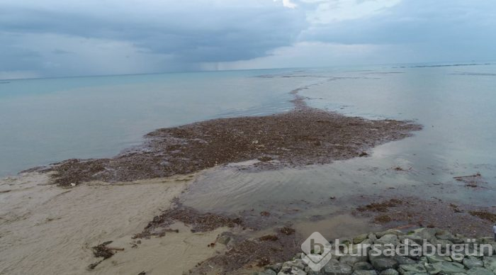 Trabzon'da deniz çamura bulandı
