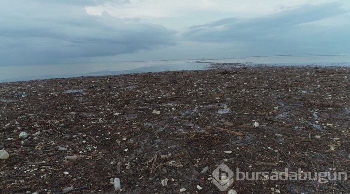 Trabzon'da deniz çamura bulandı