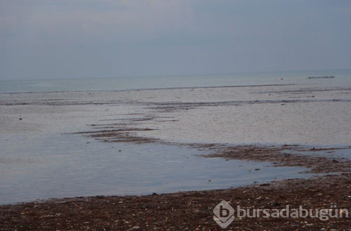Trabzon'da deniz çamura bulandı