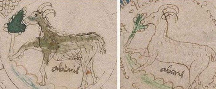 Nazca çizgilerinin sırrı çözüldü