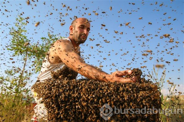 Guinness Rekorlar Kitabı'na girebilmek için...