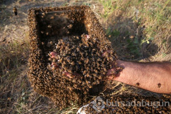 Guinness Rekorlar Kitabı'na girebilmek için...