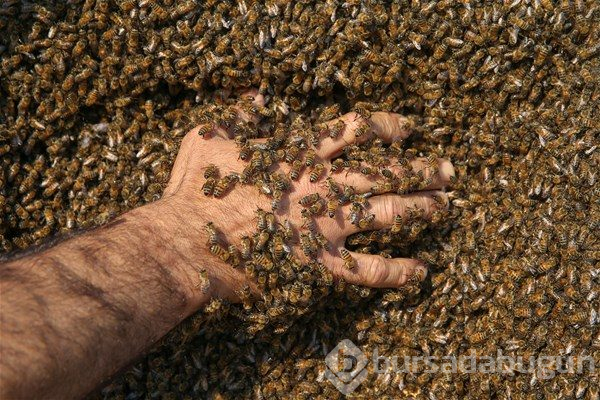 Guinness Rekorlar Kitabı'na girebilmek için...