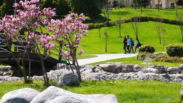 İstanbul ilçelerinde seçim sonuçları ve oy oranları
