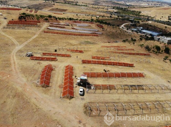 Gaziantep kırmızıya boyandı