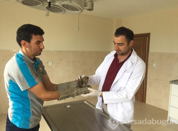  Loas Kaya Faresi Bursa'daki bir fabrikada bulundu
