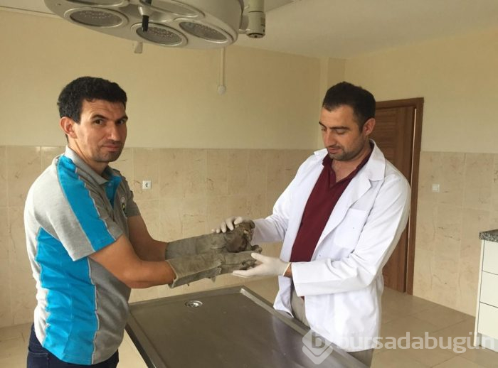  Loas Kaya Faresi Bursa'daki bir fabrikada bulundu