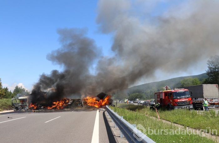 TEM'de zincirleme kaza: Araçlar alev aldı