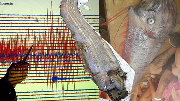 Kıyıya vuran balık deprem ve tsunami endişesine yol açtı.
