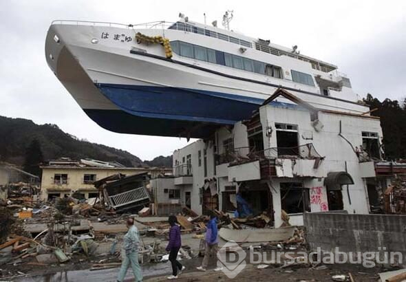 Kıyıya vuran balık deprem ve tsunami endişesine yol açtı.
