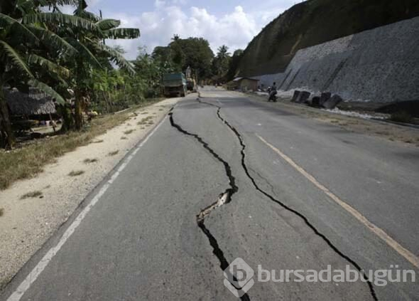 Kıyıya vuran balık deprem ve tsunami endişesine yol açtı.
