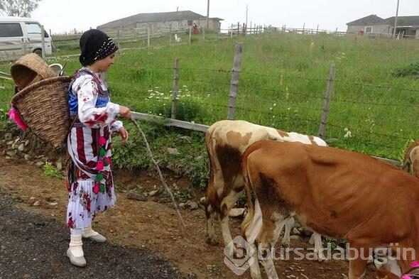 Trabzon'da en renkli yayla göçü
