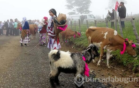 Trabzon'da en renkli yayla göçü
