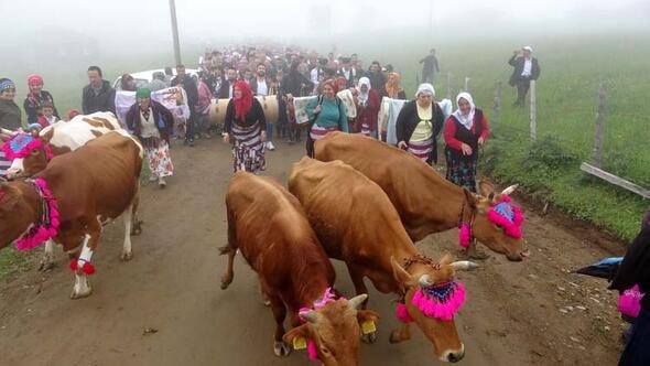 Trabzon'da en renkli yayla göçü
