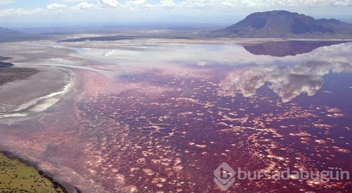 Afrika'nın gizemli gölü Natron