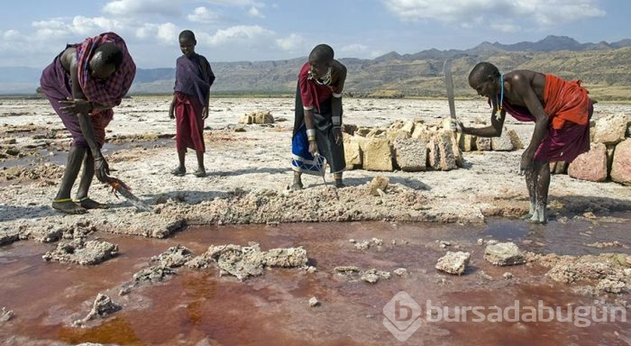 Afrika'nın gizemli gölü Natron