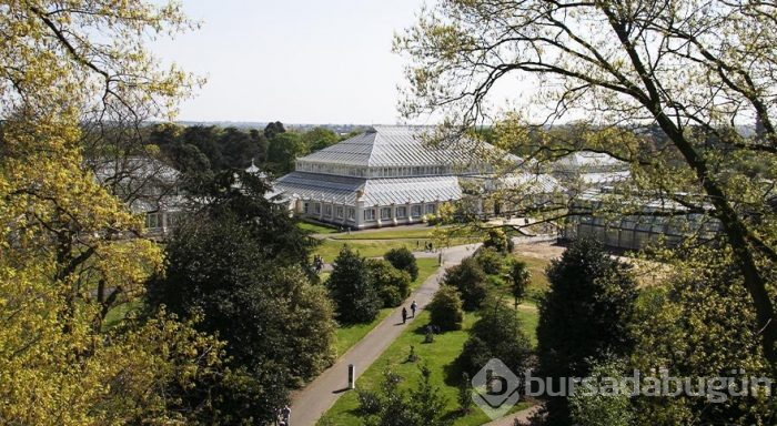 İngiltere Kraliyeti'nin dünya mirası Kew Gardens