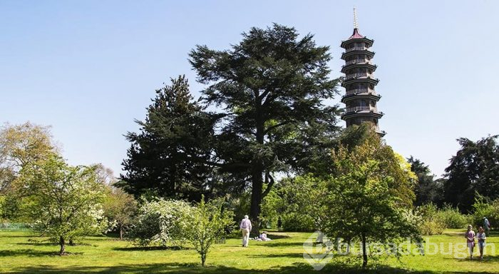 İngiltere Kraliyeti'nin dünya mirası Kew Gardens