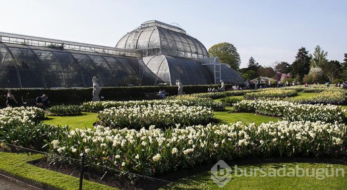 İngiltere Kraliyeti'nin dünya mirası Kew Gardens