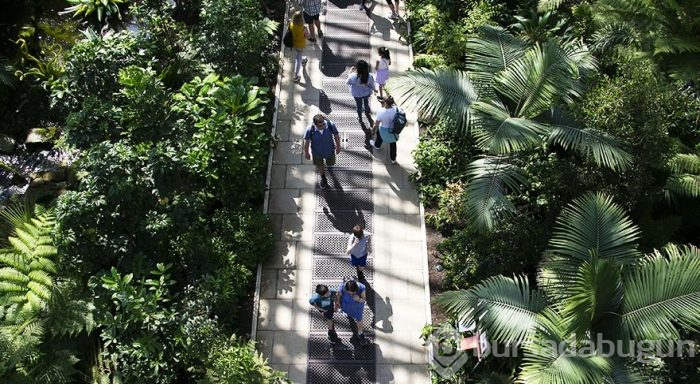 İngiltere Kraliyeti'nin dünya mirası Kew Gardens