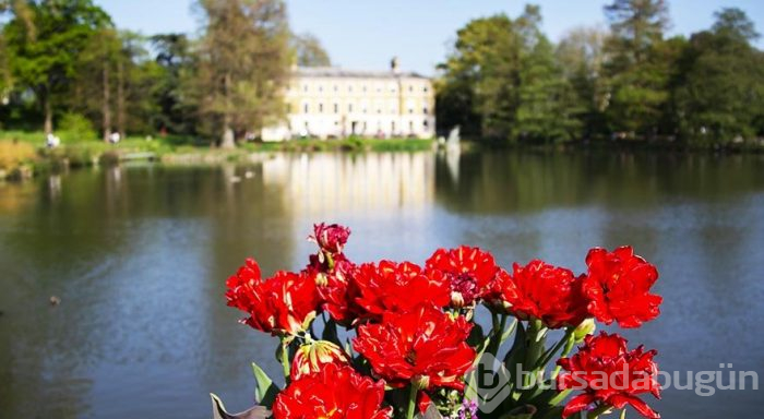 İngiltere Kraliyeti'nin dünya mirası Kew Gardens
