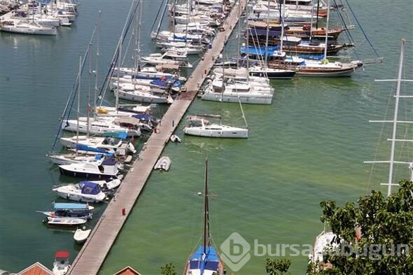 Fethiye Körfezi'nin rengi değişti

