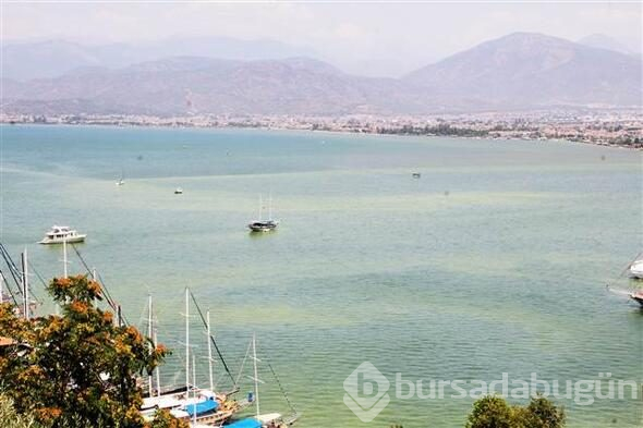Fethiye Körfezi'nin rengi değişti
