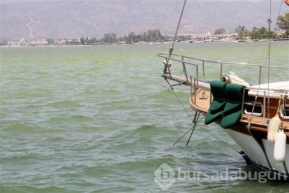 Fethiye Körfezi'nin rengi değişti

