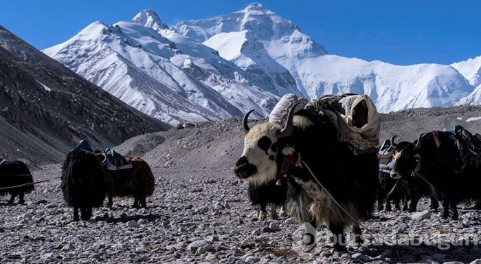 Everest'te dağcıların merkez üssü: Ana kamp