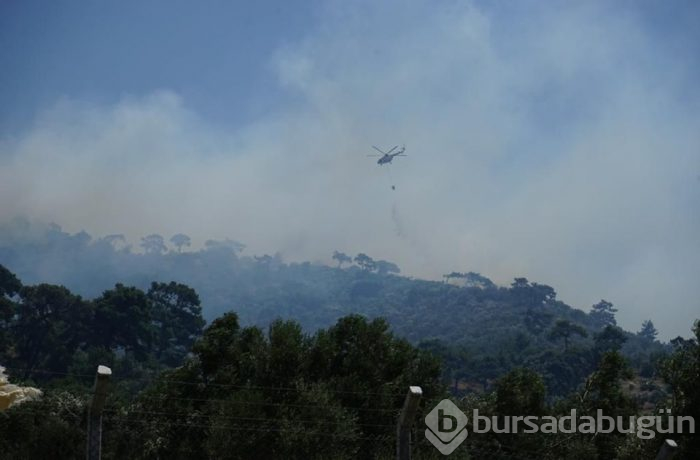Balıkesir'de orman yangını