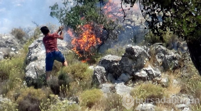Balıkesir'de orman yangını