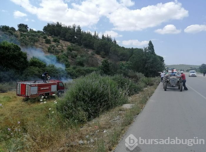 Balıkesir'de orman yangını