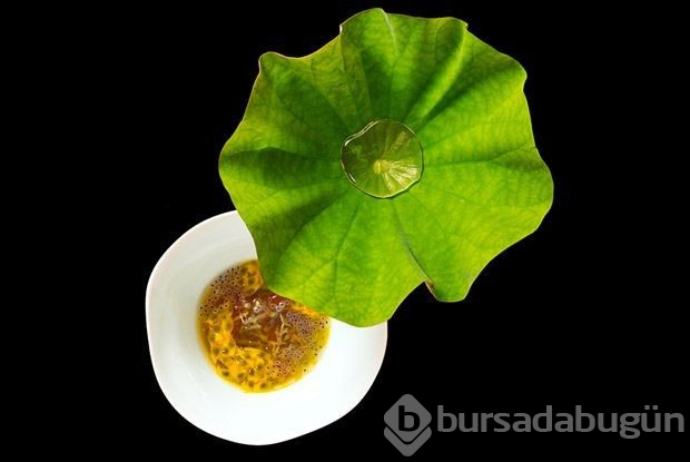 2019 dünyanın en iyi restoranları açıklandı